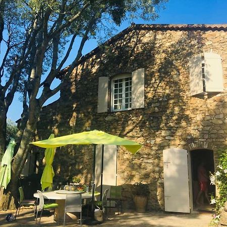 Villa Provencale Familiale Avec Piscine Grimaud Bagian luar foto